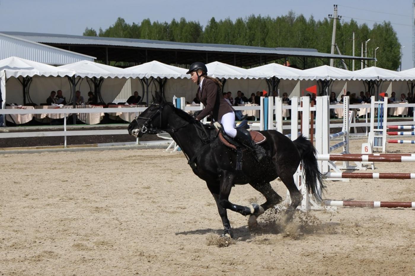«Праздник непослушания» в конном клубе прошел под бой водяных пистолетов, стук кастрюль и брызги красок - Фото 1