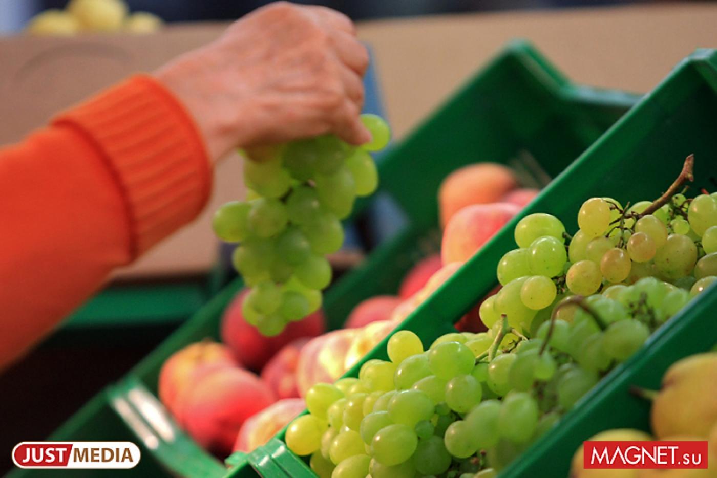 Уральские эксперты о «продуктовых» санкциях РФ: «Не удивлюсь, если мы скоро увидим норвежскую семгу из Турции или фуа-гра из Египта» - Фото 1