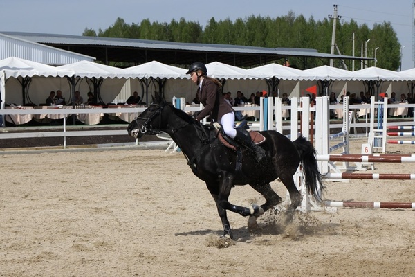 «Праздник непослушания» в конном клубе прошел под бой водяных пистолетов, стук кастрюль и брызги красок - Фото 1