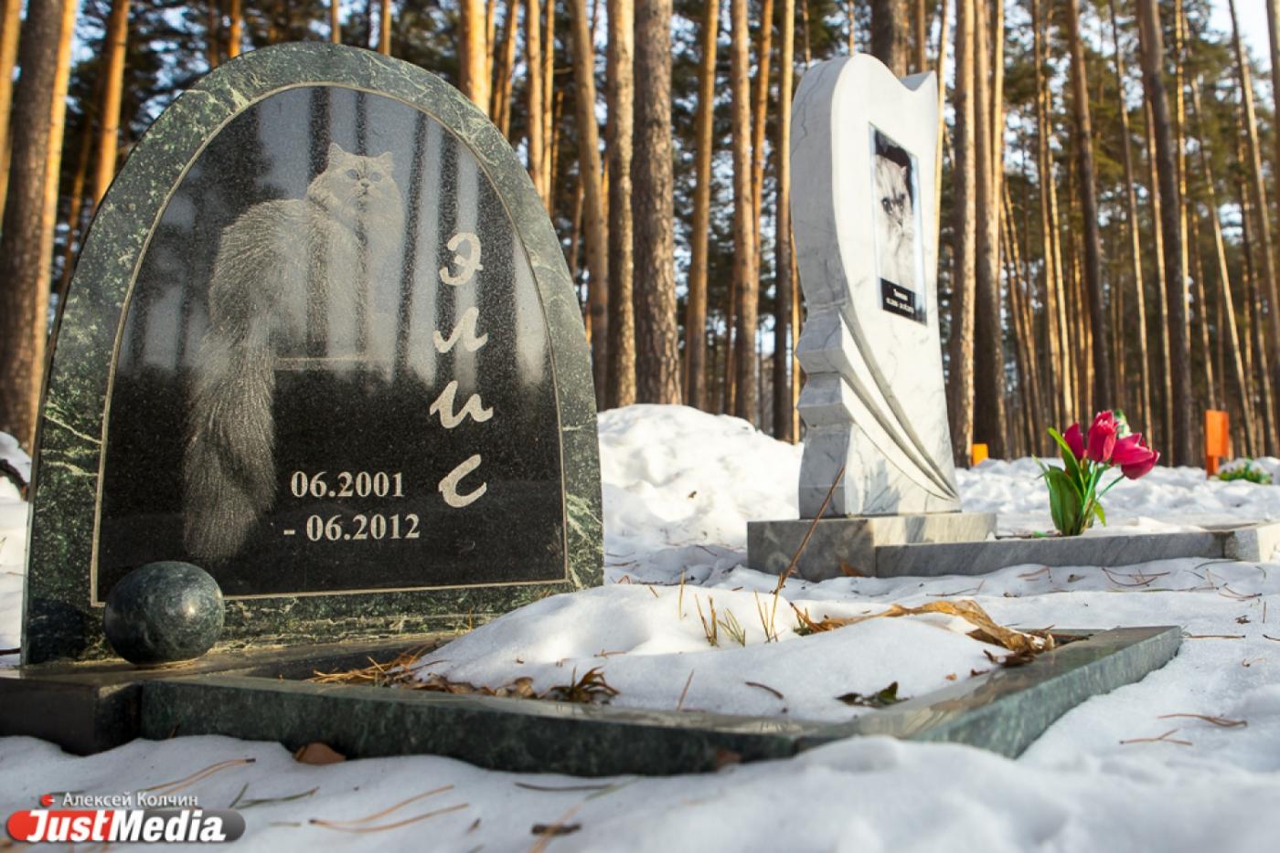 Трехэтажная будка и сотни погрызенных игрушек. Журналисты JustMedia побывали на кладбище домашних животных - Фото 1