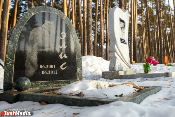 Трехэтажная будка и сотни погрызенных игрушек. Журналисты JustMedia побывали на кладбище домашних животных