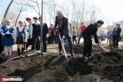 «Для нас важно сделать город лучше, комфортнее, красивее». В парке Павлика Морозова высадили новые деревья
