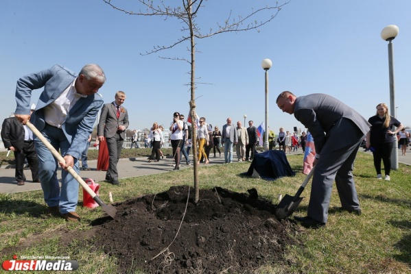 Яблоня имени JustMedia. Чиновники и редакции свердловских СМИ заложили в Екатеринбурге аллею журналистов. ФОТО