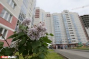 Ждали от 6 до 12 лет! 130 обманутых дольщиков получили ключи от квартир в ЖК «Хрустальногорский»