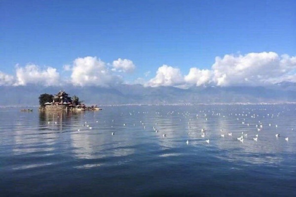 «Заказывайте четное число блюд и покупайте стрит-фуд около вузов». Китаянка о фестивале «Ледовых фонарей» и лунных пряниках в JUSTTRAVEL