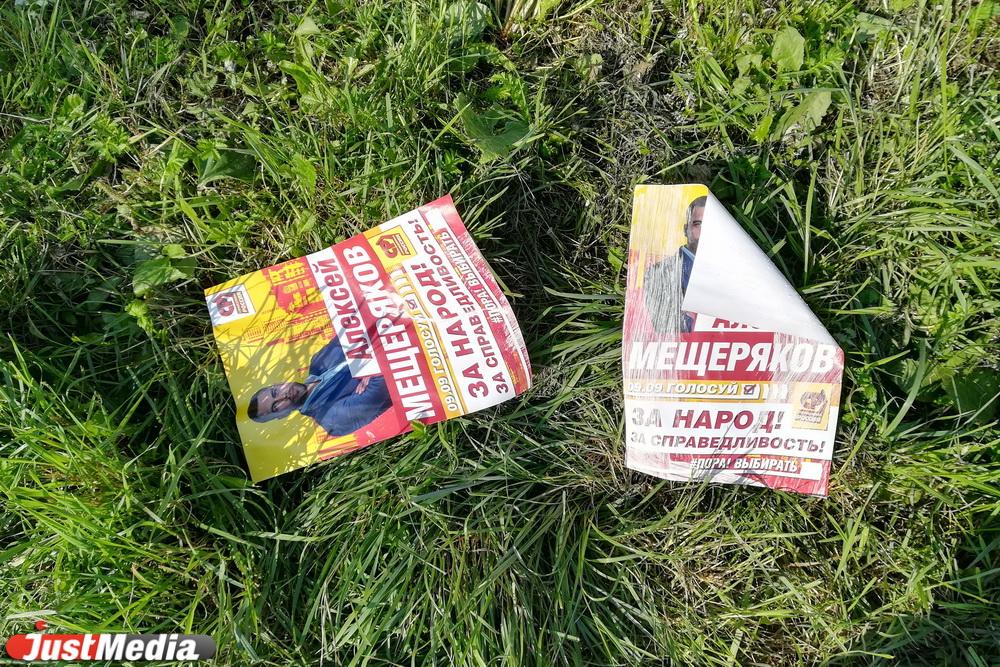 «Кандидаты борются не за симпатии избирателей, а за лояльность судов». Финальная подборка предвыборной агитации-2018. ФОТО - Фото 1