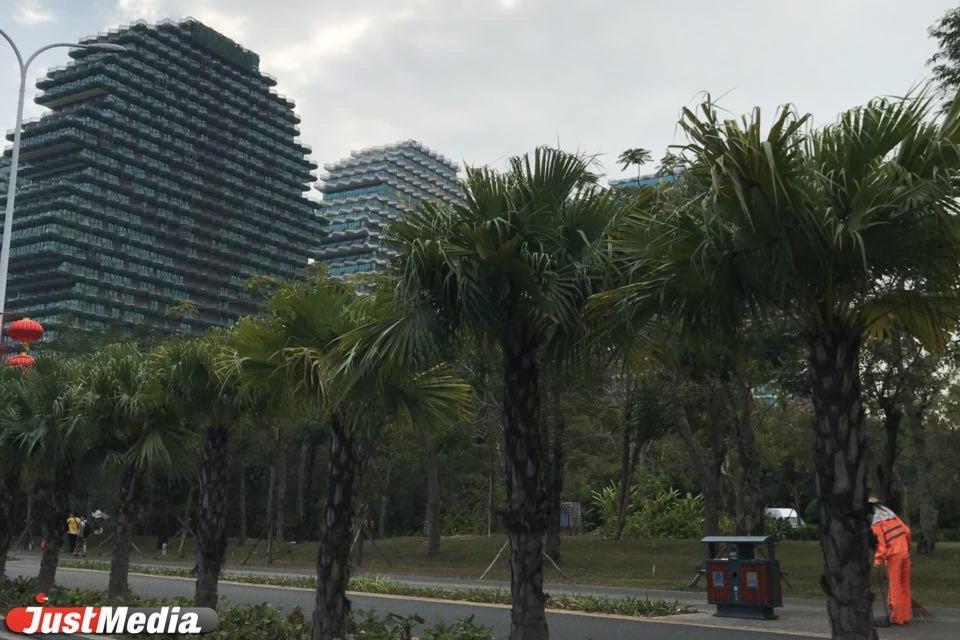  Уралец, переехавший в Китай, – о коронавирусе: «В рабочие чаты люди постоянно скидывают информацию об умерших» - Фото 1