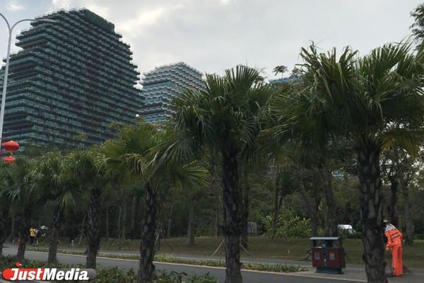  Уралец, переехавший в Китай, – о коронавирусе: «В рабочие чаты люди постоянно скидывают информацию об умерших» - Фото 1