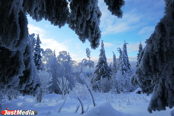 Хвойники, снег и ни души. Едем в сказочный лес Висимского заповедника  - Фото 1