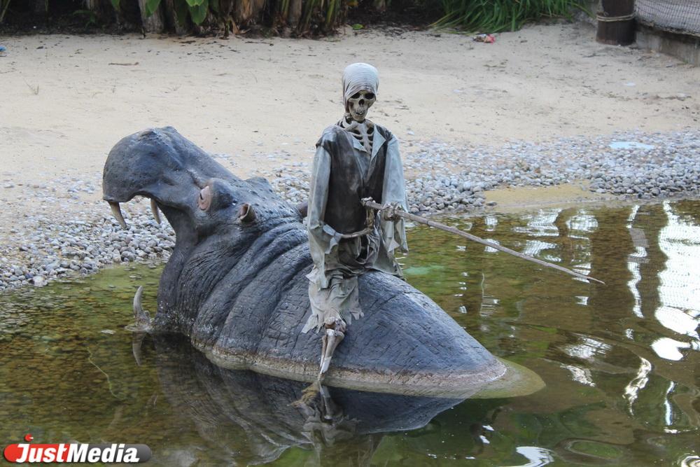 Поезд с кошками, карантинные кордоны с уксусом и алкоголь вместо воды. Как в мире в разные века боролись с пандемиями - Фото 1