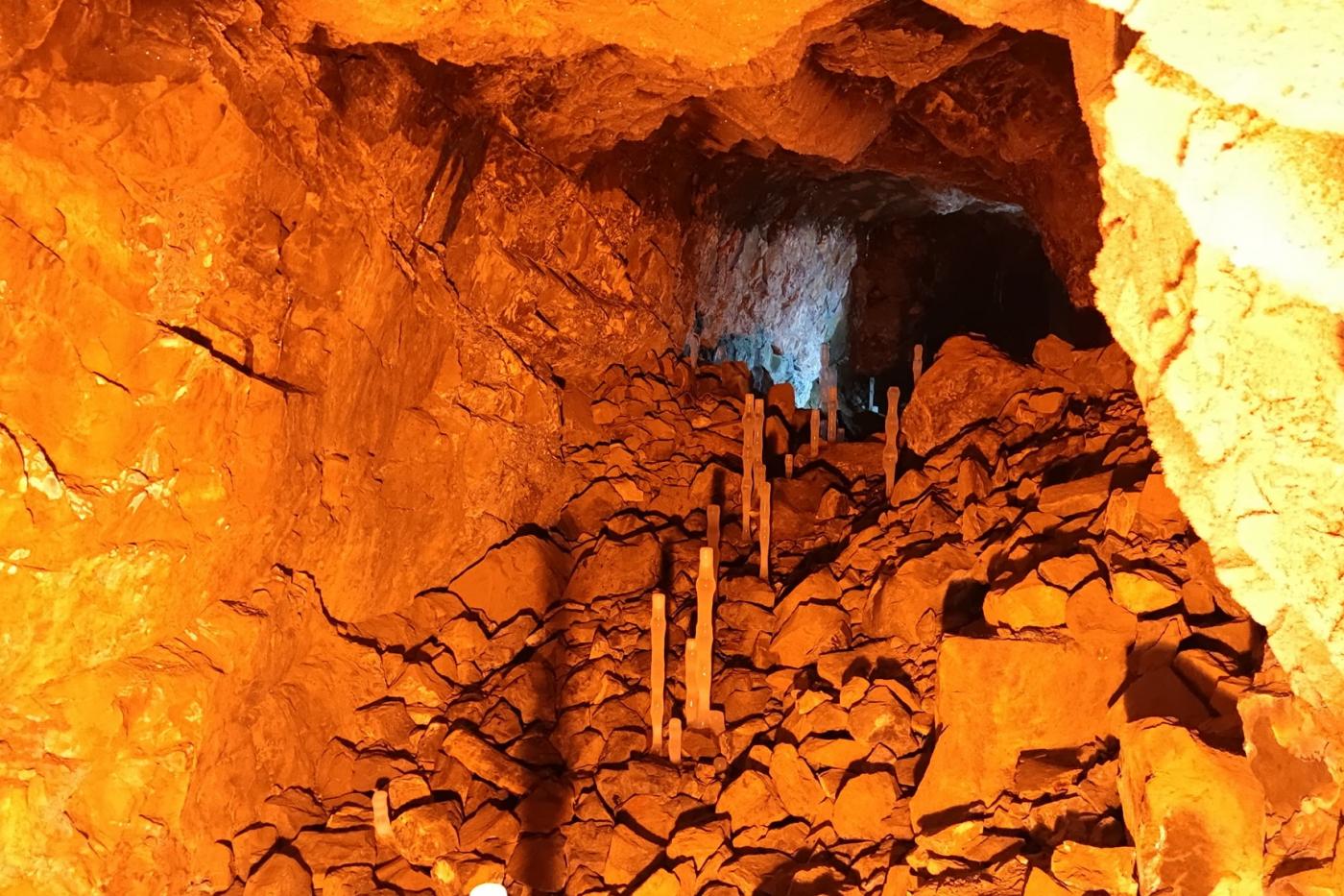 Смотрим на колонии летучих мышей и остатки платиновых разработок в Авроринском прииске. JUSTTRIP - Фото 1