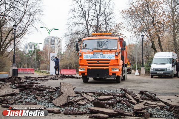 Птичий помет, краденый газон и поваленный фонарь. Какие замечания экологи вынесли подрядчику в Зеленой роще - Фото 1