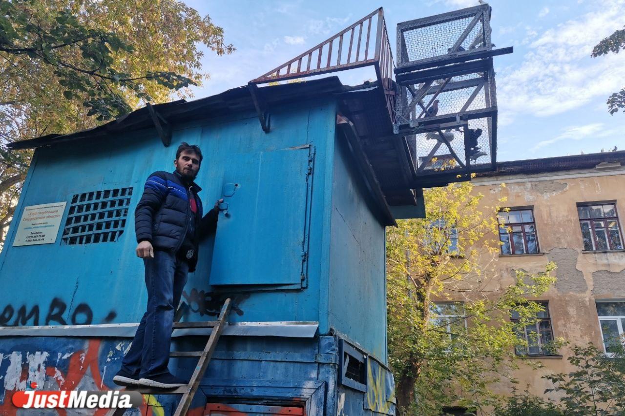 Репортаж из голубятни на улице Бажова. Знакомимся с трудностями и прелестями содержания голубей в 21 веке - Фото 1