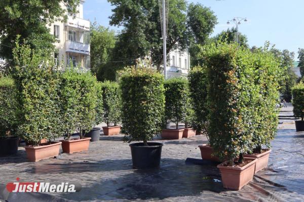 Ключевой цвет, «зеленые» новинки и высокие технологии. Рассказываем о главных фишках «Атмофеста» в этом году - Фото 1