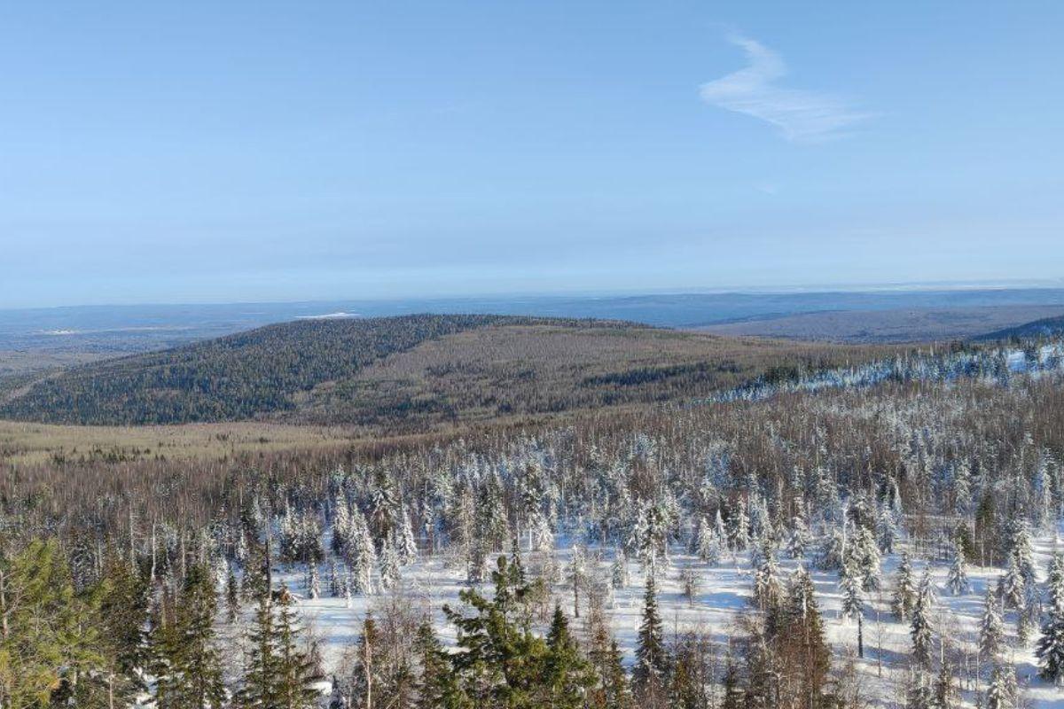 Маршрут «Веселые горы»: возможность увидеть первозданную уральскую тайгу - Фото 1