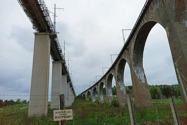 Диссендиум! Открываем локации по мотивам Гарри Поттера на Урале