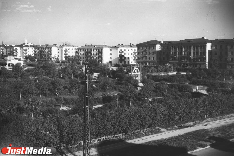 В Екатеринбурге на месте Дендропарка была опытная станция, которая озеленяла улицы Свердловска #Втузгородок - Фото 1