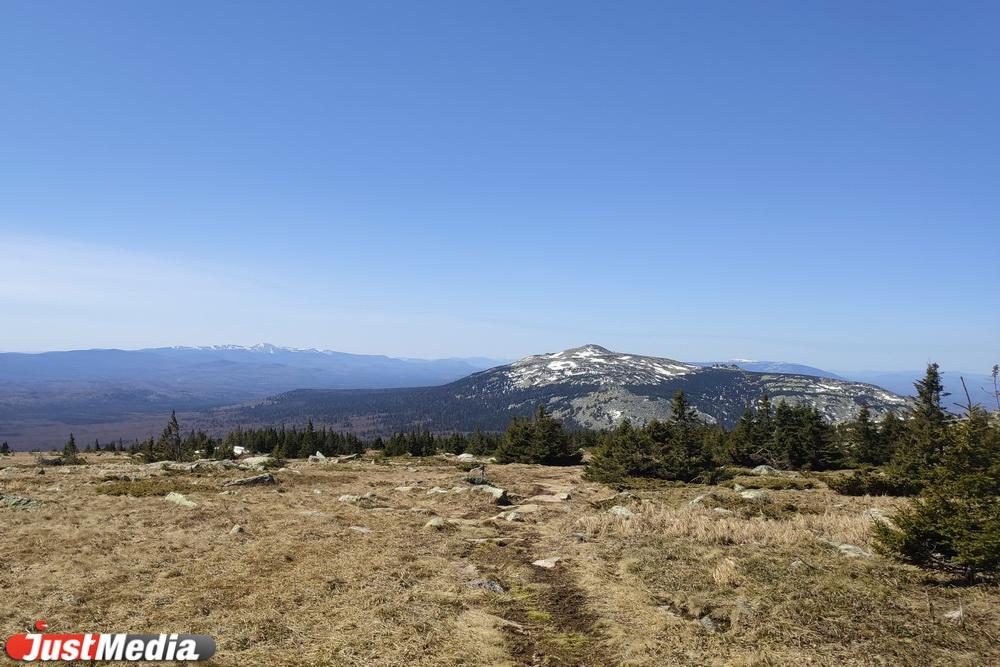Альпийские луга и тайна пропавшего ребенка. Идем покорять самую высокую вершину Челябинской области - Фото 1