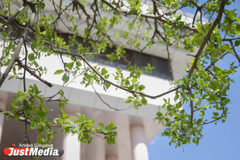 Афиша: куда сходить в Екатеринбурге в выходные 9 – 12 мая - Фото 1