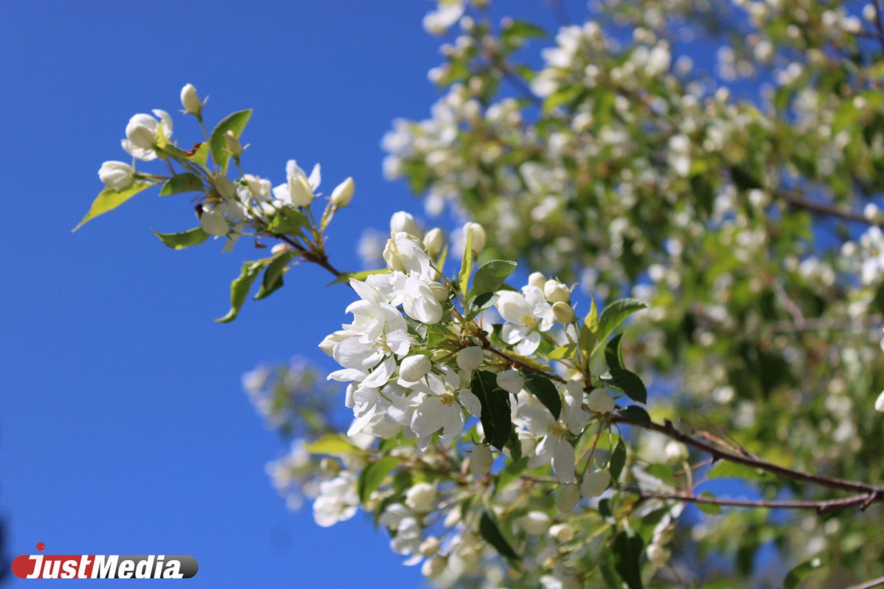 Афиша: куда сходить в Екатеринбурге в выходные 24–26 мая - Фото 1