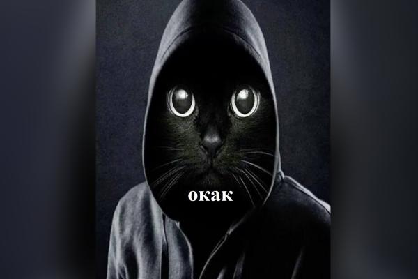 Фото: соцсети