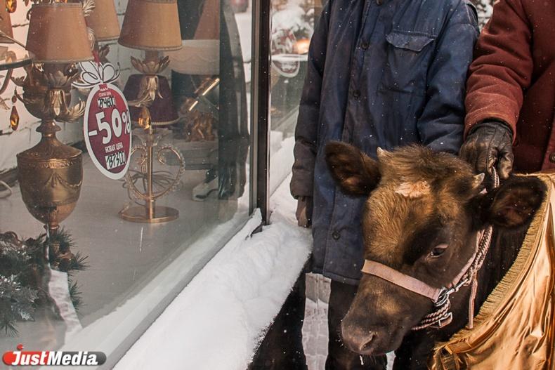 Телец – характеристика знака зодиака - Фото 1