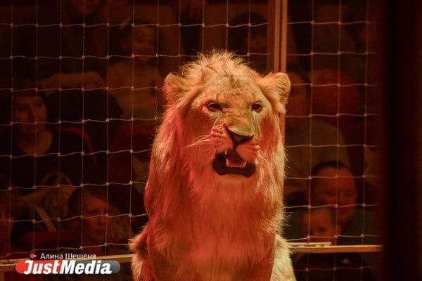 Знаки зодиака в августе - Фото 1