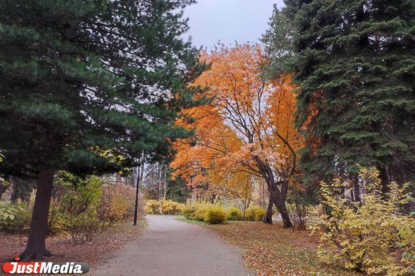 Знаки зодиака в сентябре - Фото 1