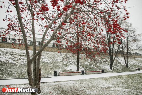 Знаки зодиака в октябре - Фото 1