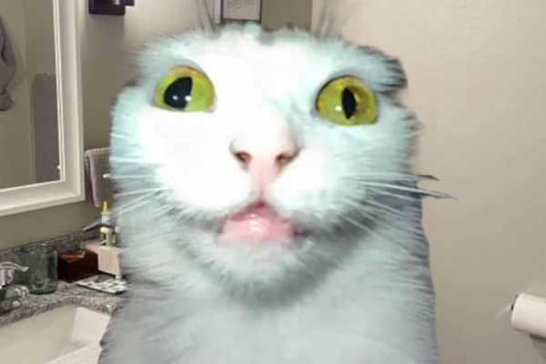 Фото: социальные сети