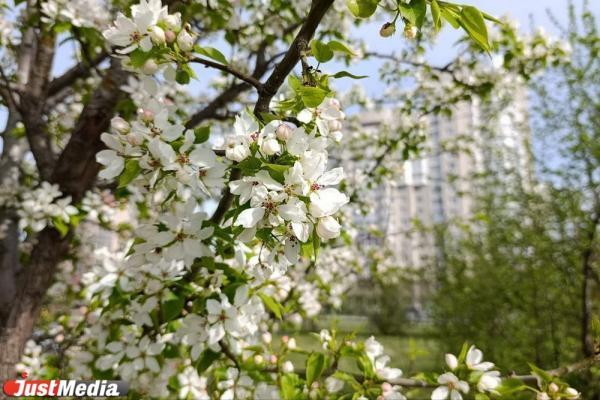 Народные приметы мая - Фото 1