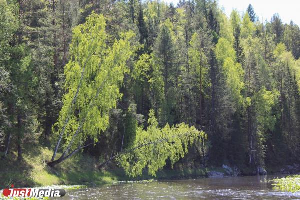 Народные приметы июля - Фото 1