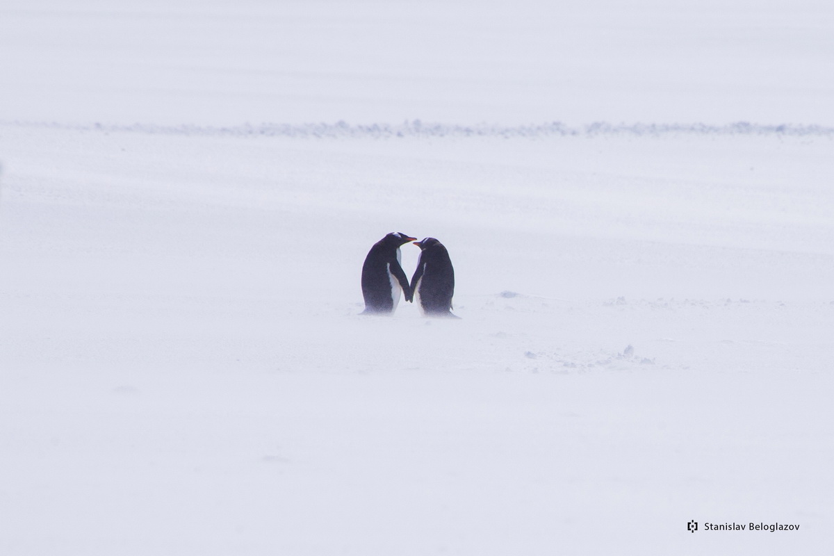 Битва фотографов: Станислав Белоглазов и Денис Тарасов выяснять, чьи тревэл-фото лучше - Фото 4