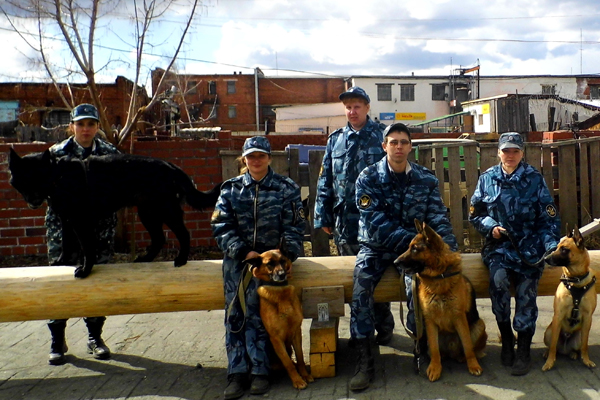 В ГУФСИН области создан питомник племенных собак - Фото 3