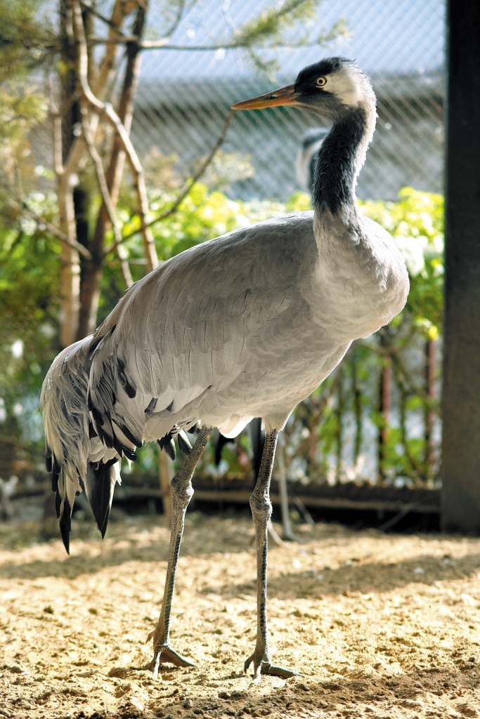 В Екатеринбургском зоопарке пройдет День сказки - Фото 4