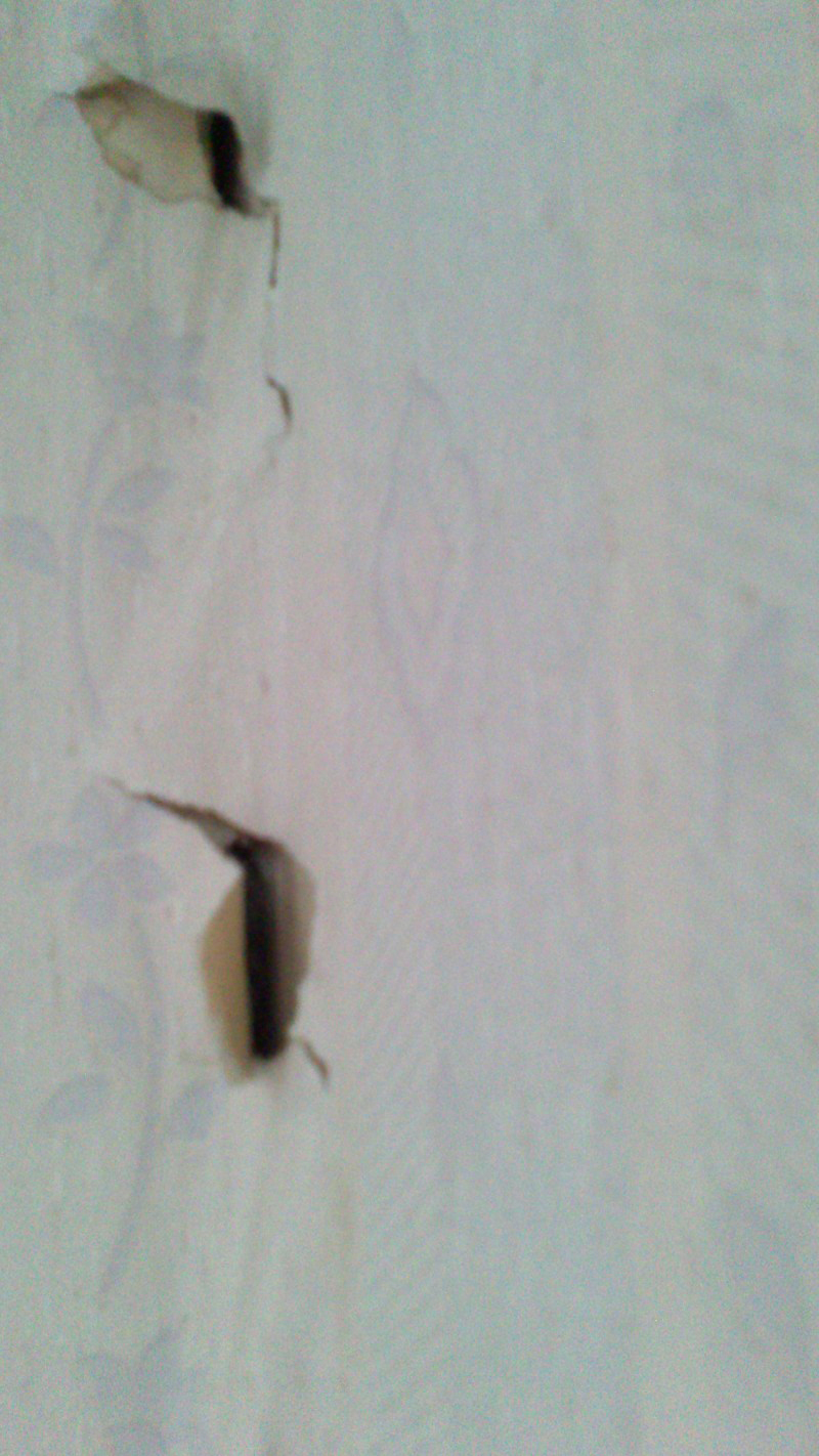 «Дом стал, как живой». Жильцы дома на Ботанике боятся находиться в своих квартирах - Фото 4