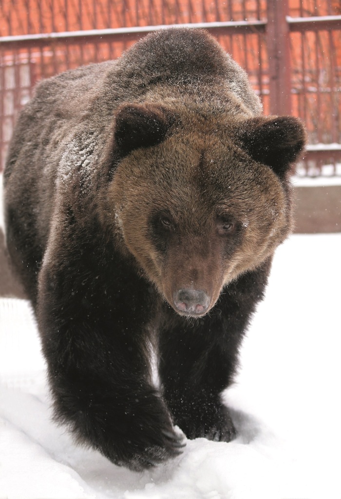 В Екатеринбургском зоопарке пройдет День сказки - Фото 3