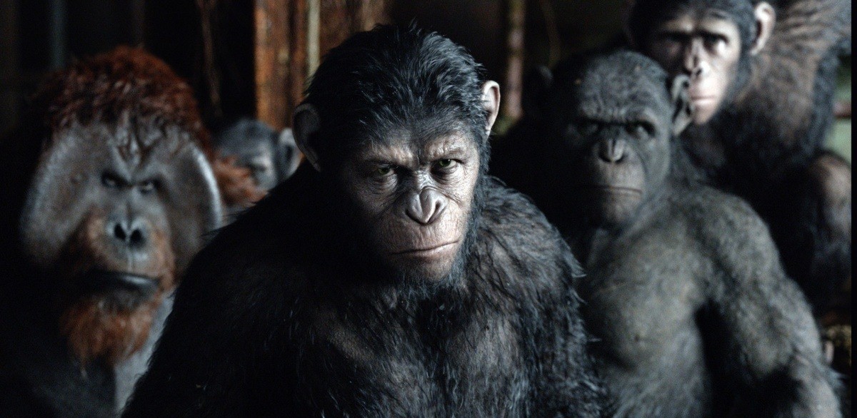 Смотри премьеру пятой части картины «Шаг вперед» и участвуй в танцевальном марафоне - Фото 2