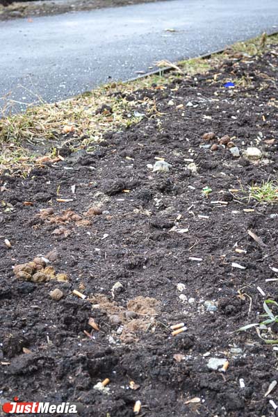 И это все …овно! Весна обнажила одну из самых неприглядных проблем Екатеринбурга - Фото 15