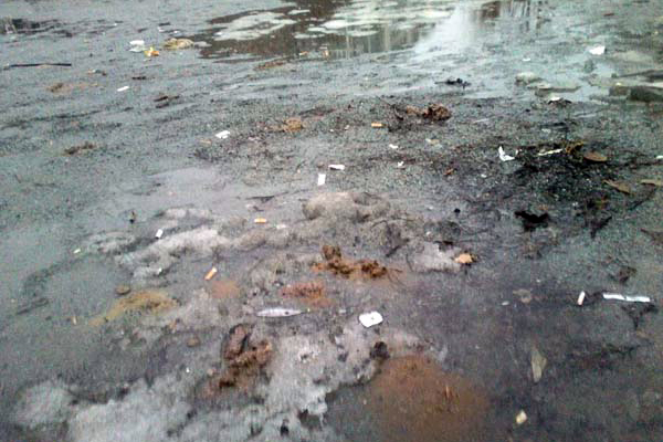 И это все …овно! Весна обнажила одну из самых неприглядных проблем Екатеринбурга - Фото 14