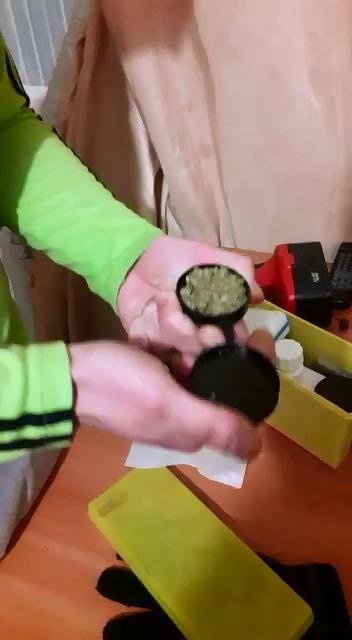 Полицейские нашли в квартире екатеринбуржца плантацию марихуаны. ФОТО - Фото 3