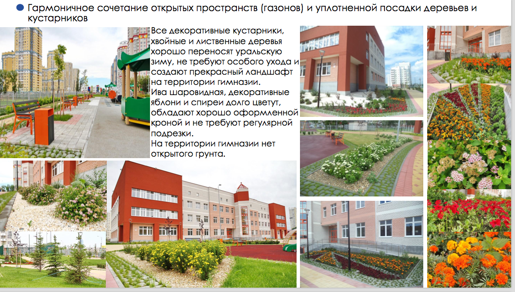 Михаил Ладейщиков: «На первом этаже нового дома должен быть не алкомаркет «Красное и белое», а детский сад». ИНТЕРВЬЮ - Фото 6