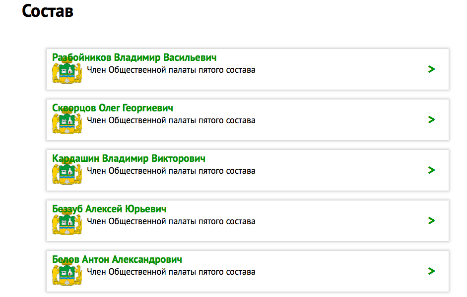 Общественная палата Екатеринбурга нашла замену Спектору - Фото 2