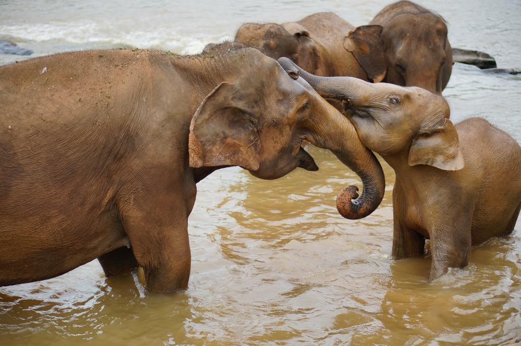Уносил ноги от дикого быка и переплывал границу на резиновой шлюпке. Уралец собирает деньги на выпуск книги для фанатов неспокойного отдыха. СПЕЦПРОЕКТ - Фото 15