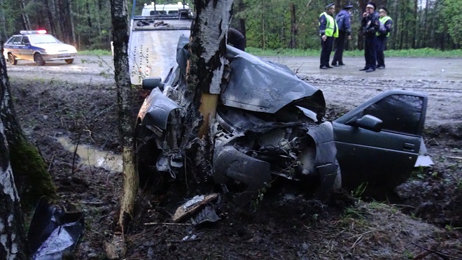 Под Шабрами Лада Приора влетела в березу. ФОТО - Фото 2