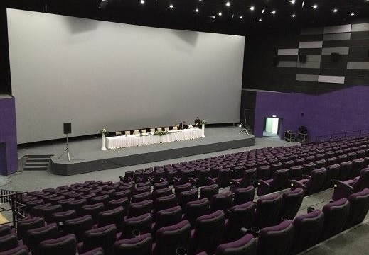 Кино для всех. В екатеринбургских кинотеатрах подростков будут пускать на фильмы категории «18+» - Фото 4