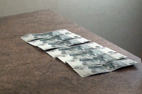 В «Расслабонове» поймали пять «ночных бабочек». Среди них — экзотическую, из Ганы - Фото 3