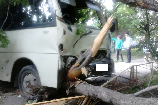 В ДТП с участием пассажирского автобуса пострадали пять человек - Фото 3