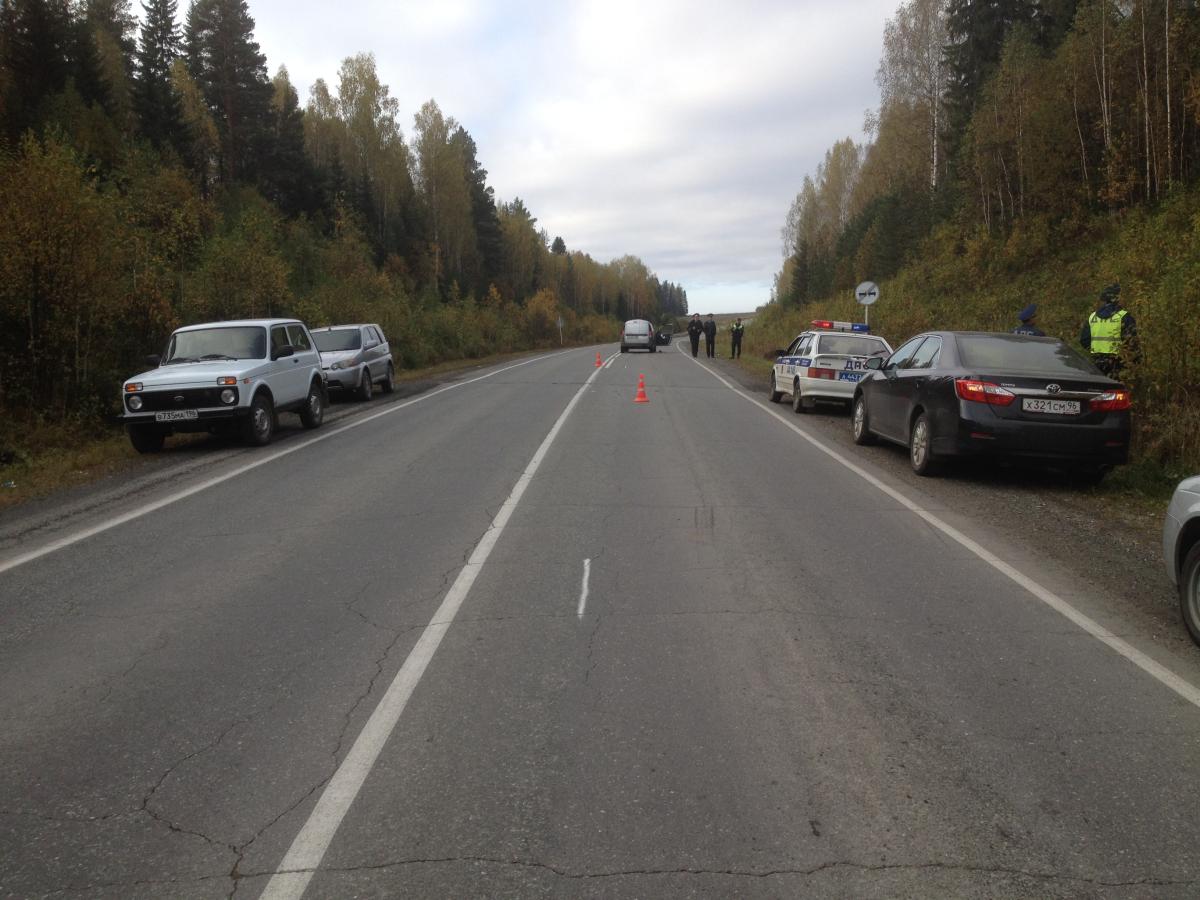 В Первоуральске водитель Lada сбил лося. Погибла пассажирка машины - Фото 2