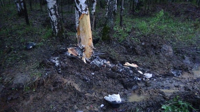Под Шабрами Лада Приора влетела в березу. ФОТО - Фото 3